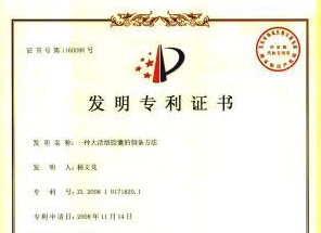 一種大活絡膠囊的制備方法發(fā)明專利證書