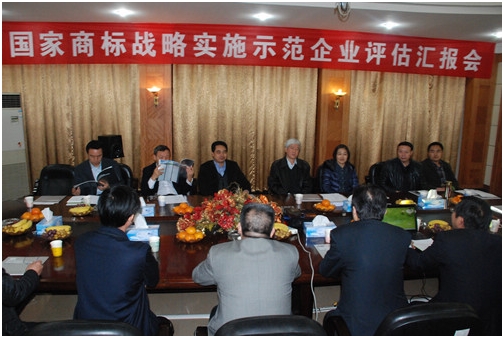 國家商標(biāo)戰(zhàn)略實施示范工作督導(dǎo)組到仁和集團(tuán)檢查指導(dǎo)工作